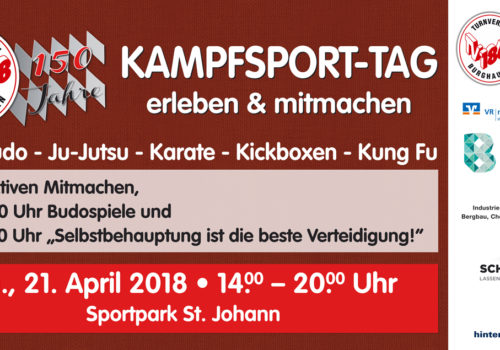 Bauzaun-Kampfsporttag-Tag-1