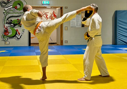 2024-08-21 Mawashi Geri